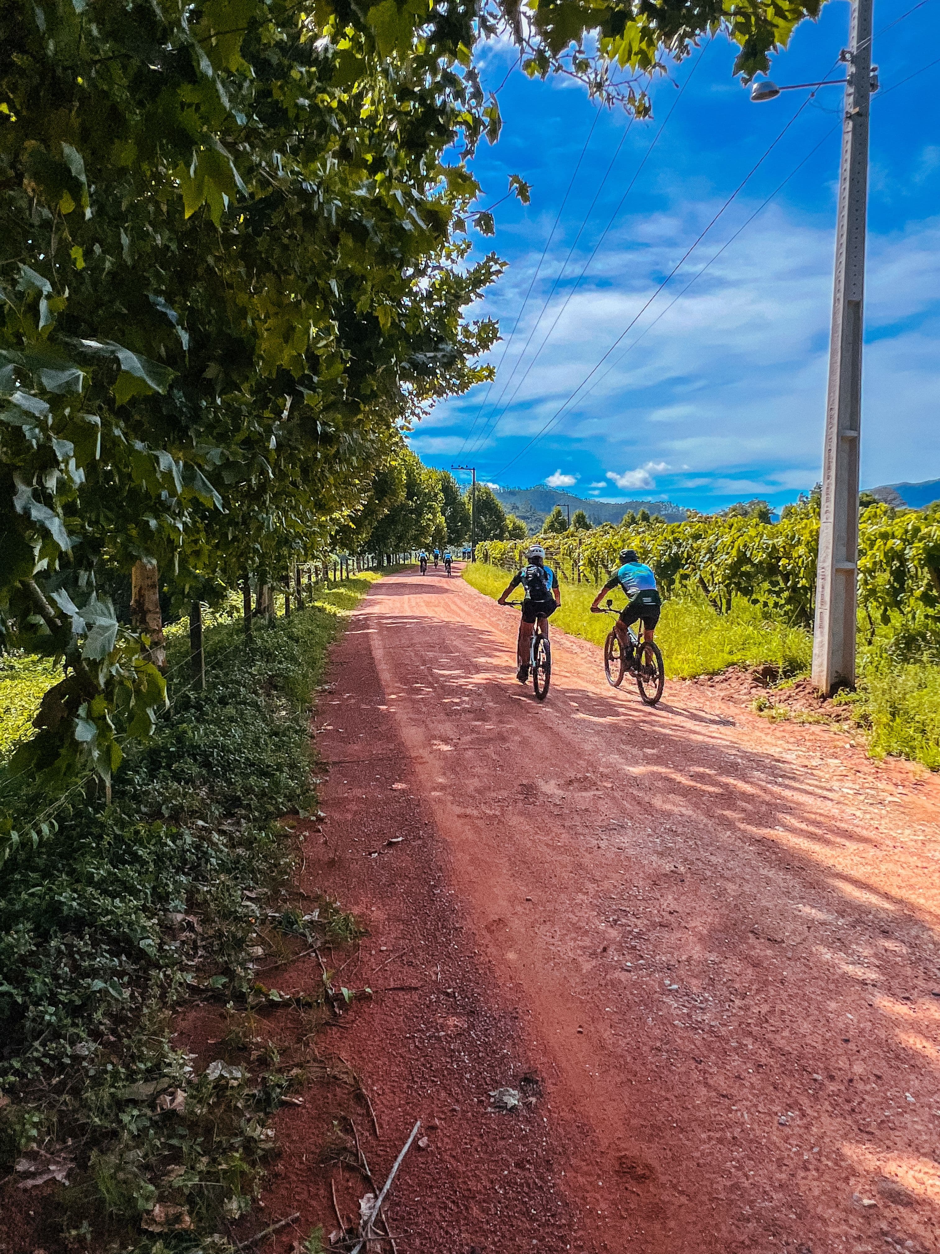 Descubra Santa Catarina — 1