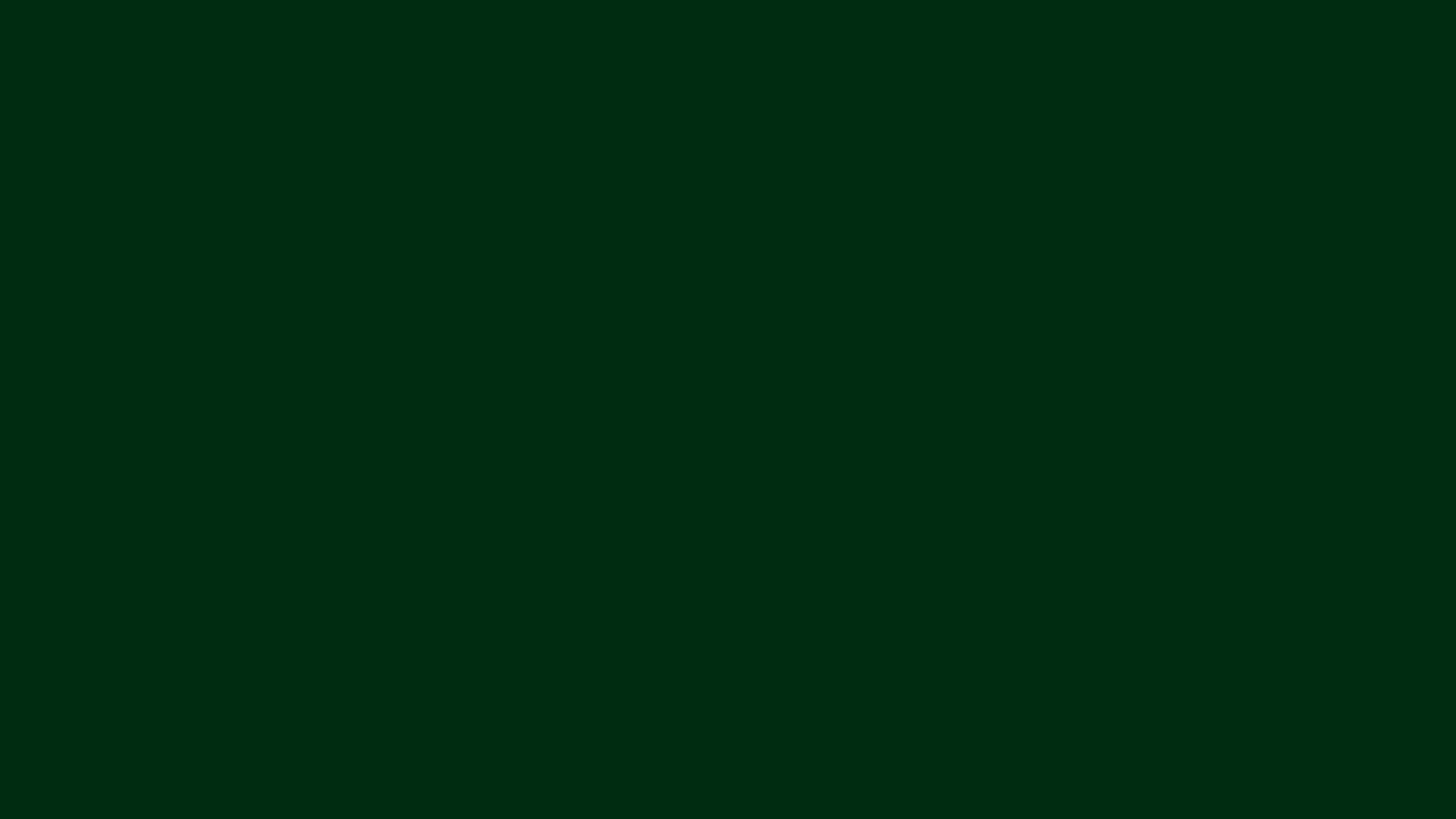 Floresta do Vale do Itajaí