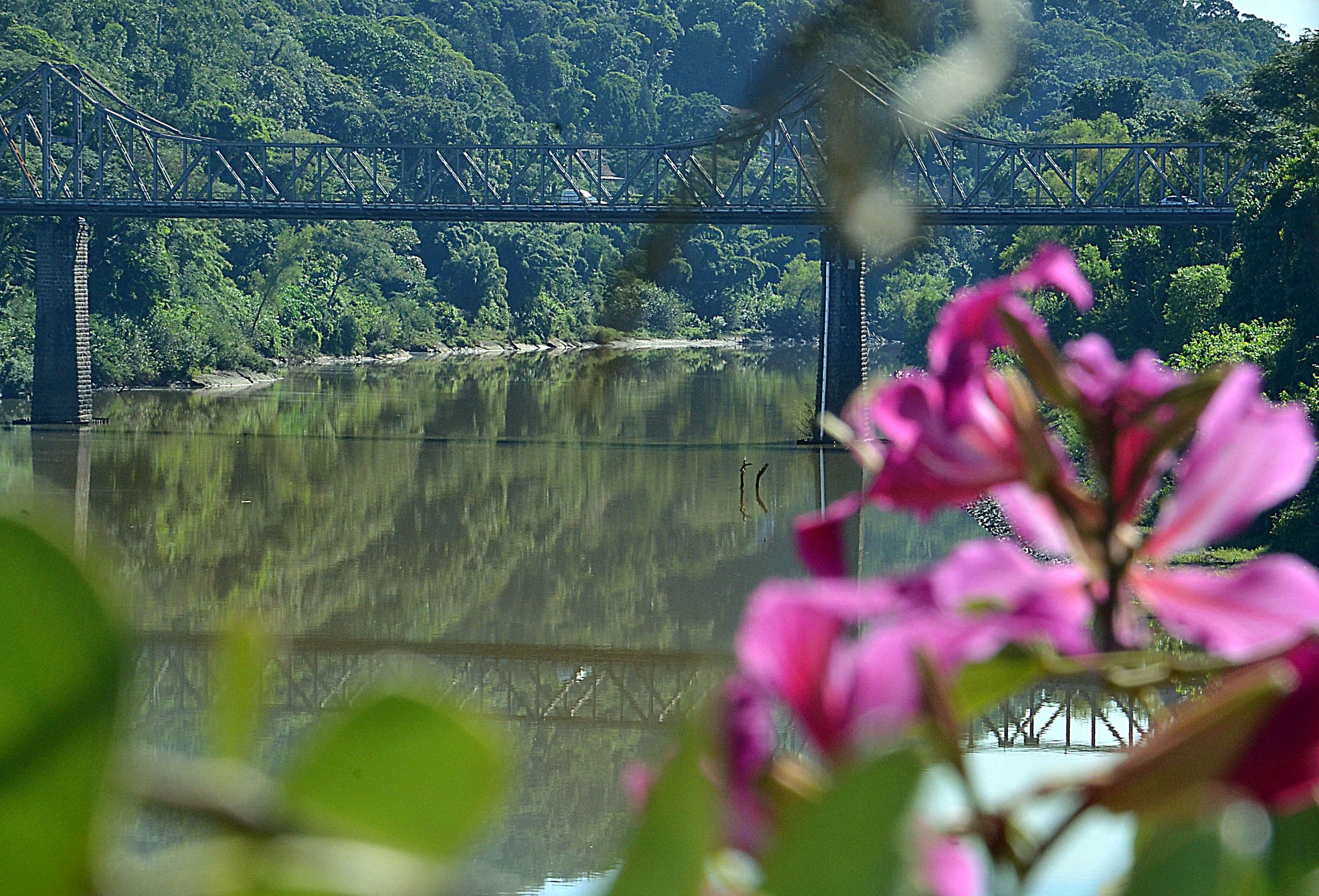 Galeria de Blumenau — 9