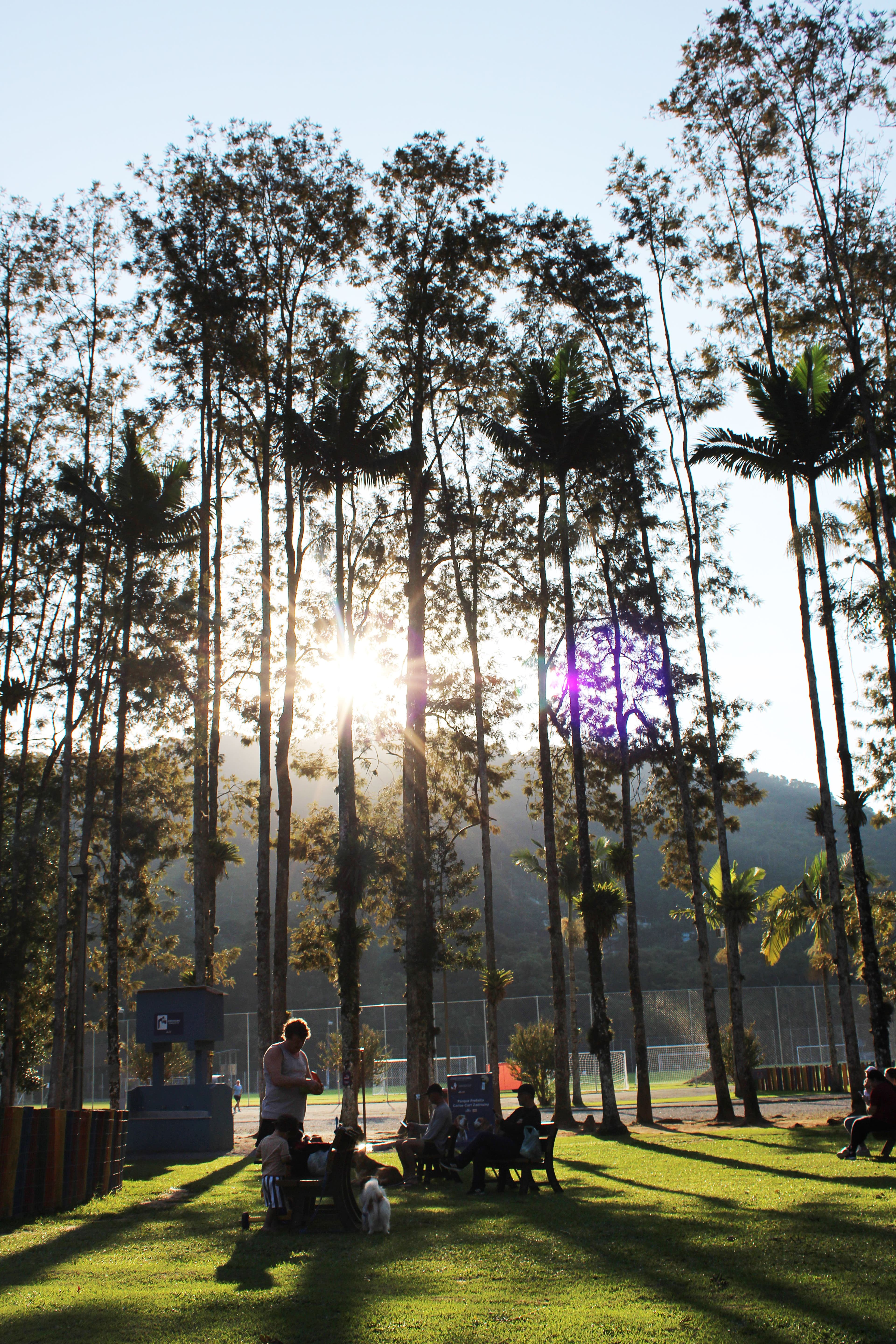 Galeria de Blumenau — 2
